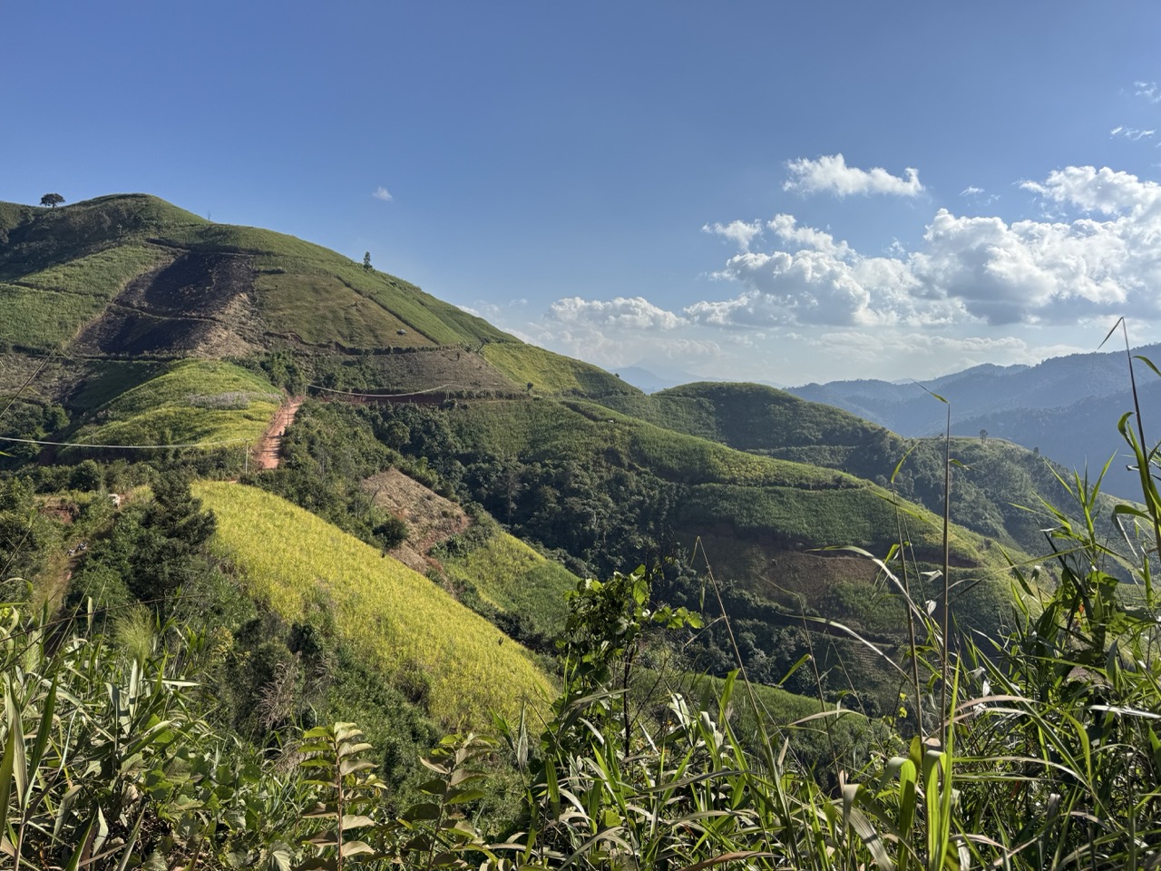 Rice terraces on the mountain pass approach to Muang Sing, Luang Namtha province